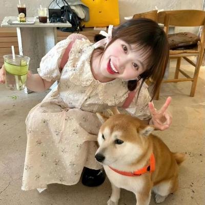 加油!胖虎!!